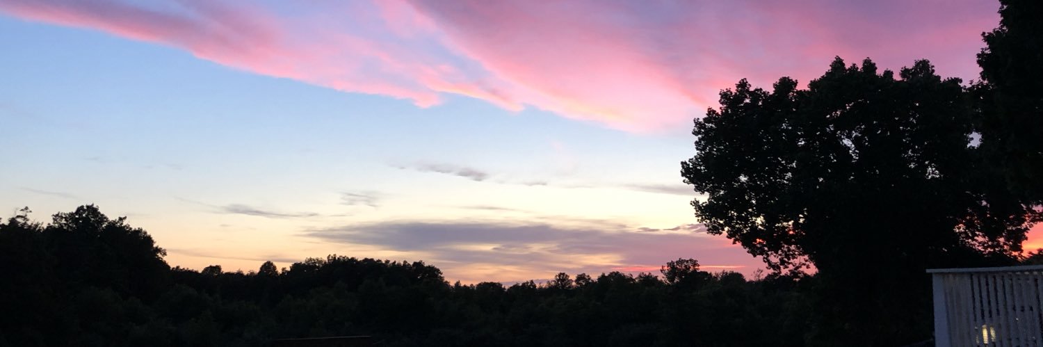 lmkwilos's profile banner image