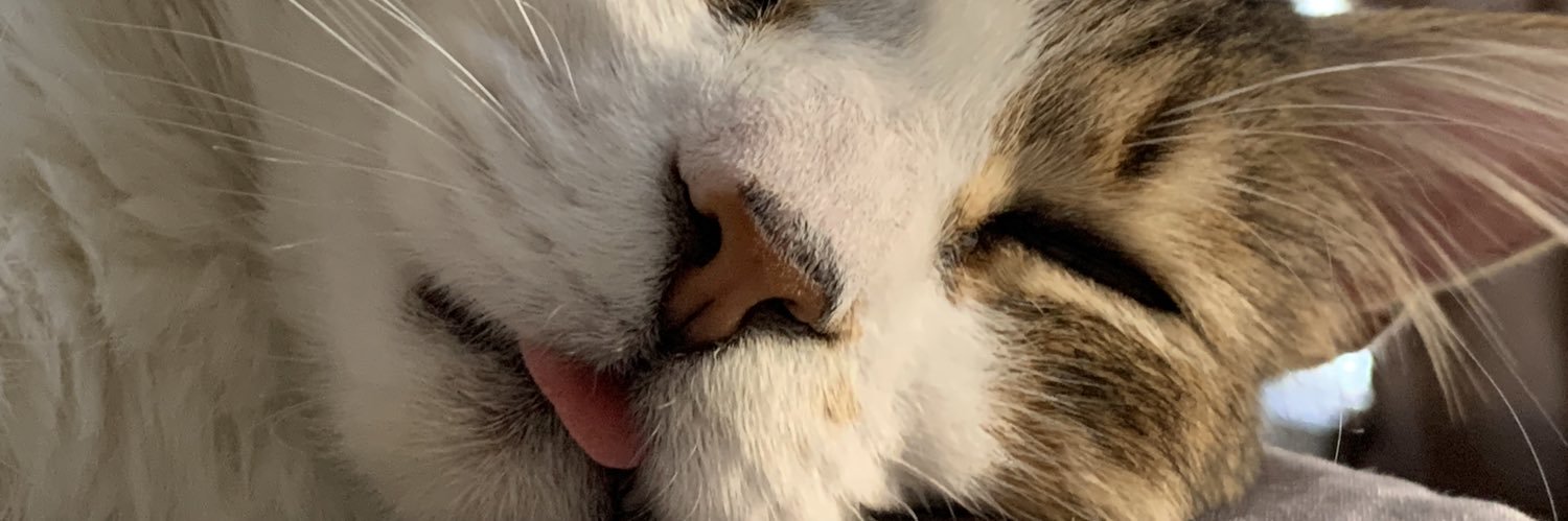 beleneitorrs's profile banner image