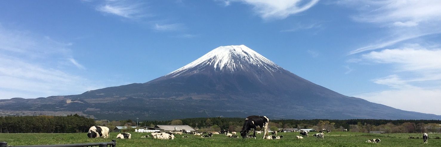 cyoibai's profile banner image