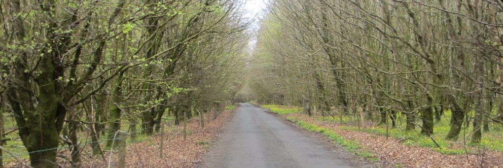 LakeandLegends banner