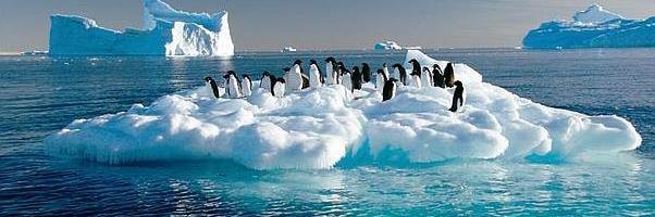 Serpy65's profile banner image