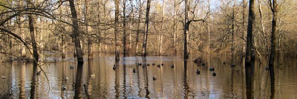 JohnMAdams4 Profile Banner