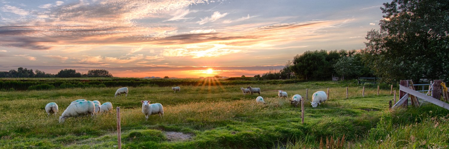 Samen Voor Elkaar Overijssel banner