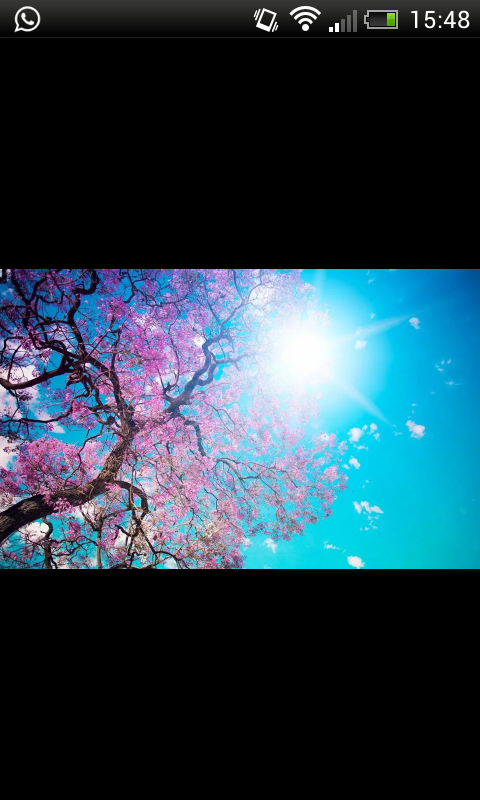 Ajh_96's profile banner image