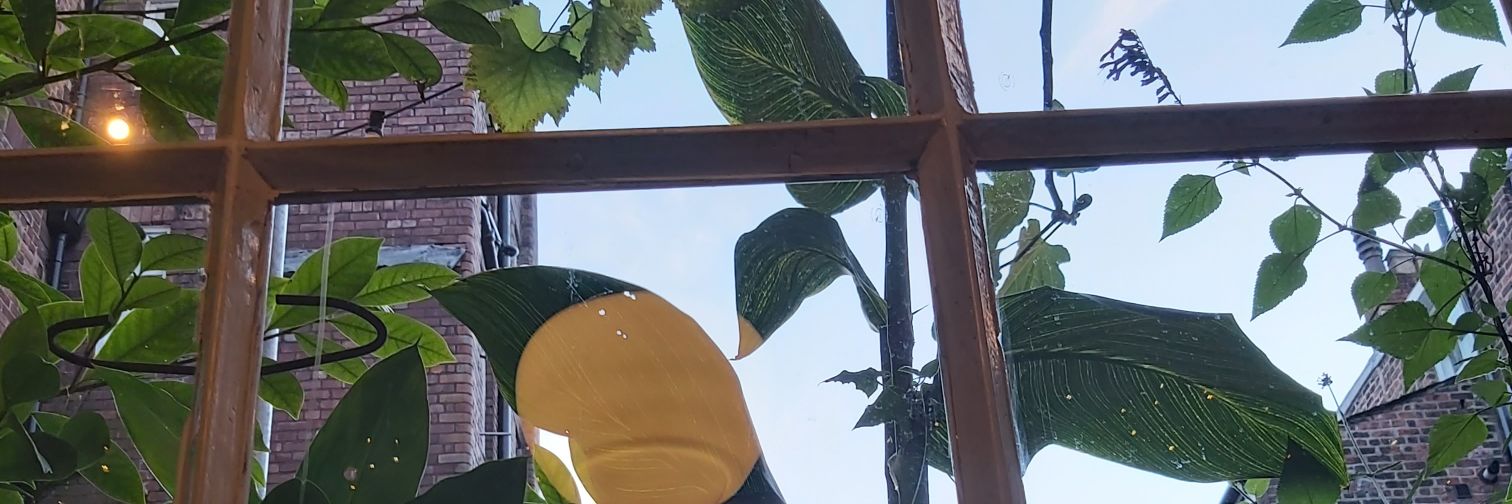 ninaroselevy's profile banner image