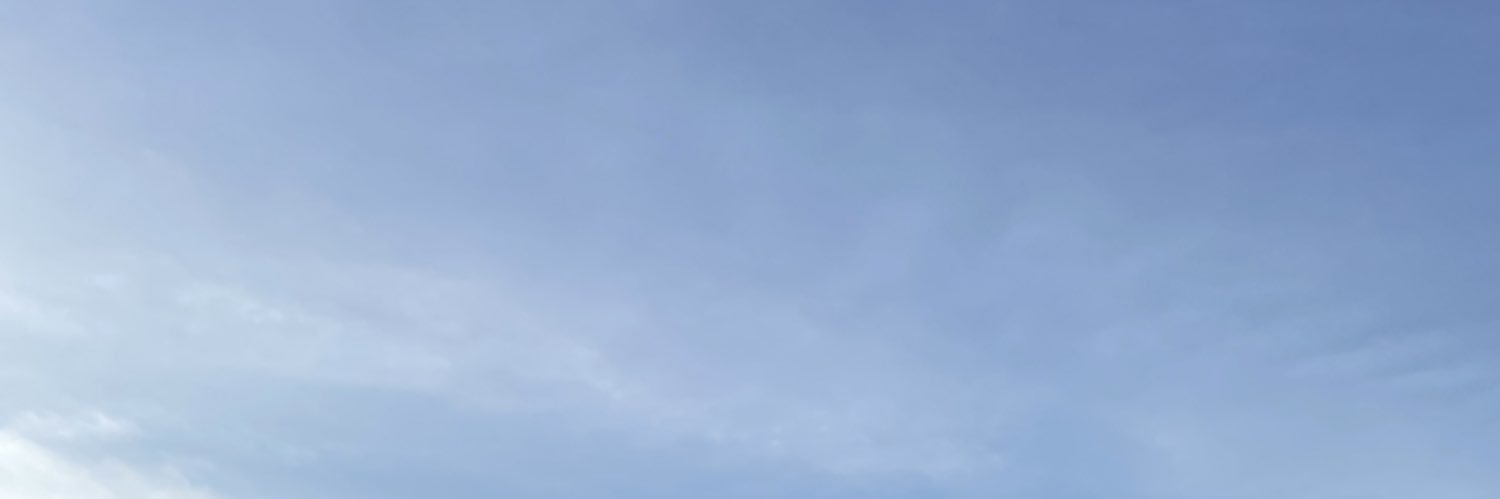 carolinavargass's profile banner image