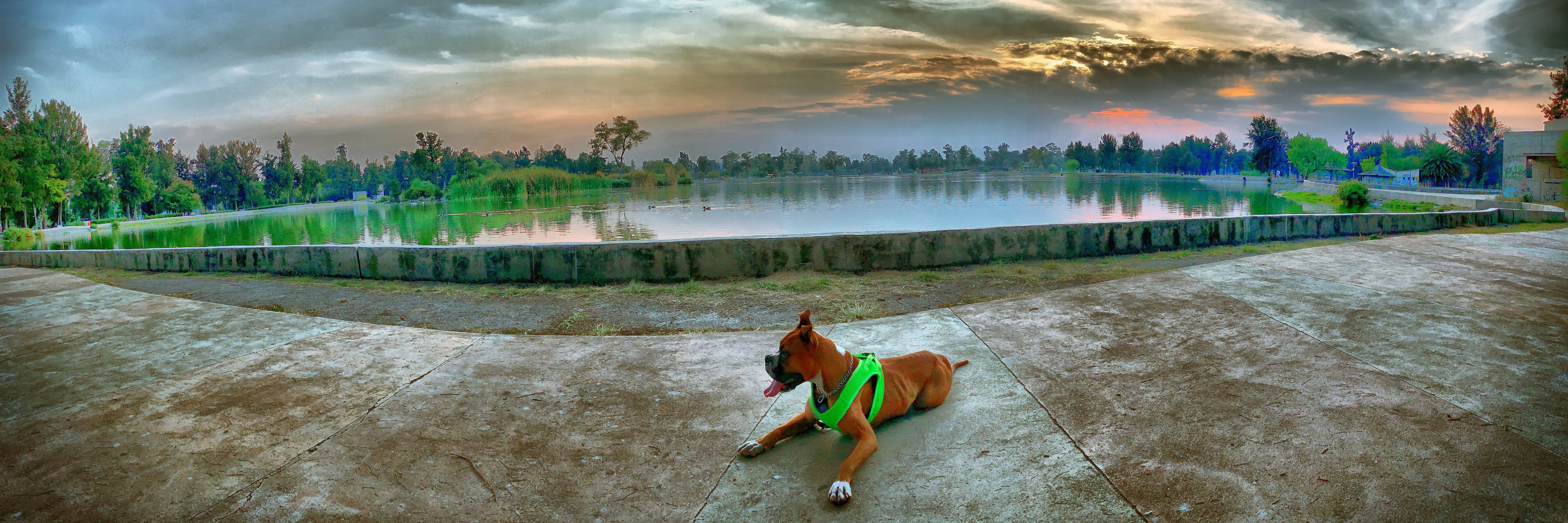 Loooixz's profile banner image