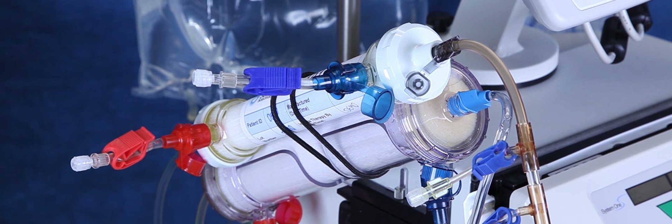 SentienBiotech banner