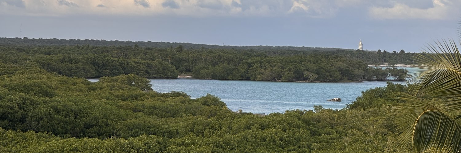 dianaromo's profile banner image