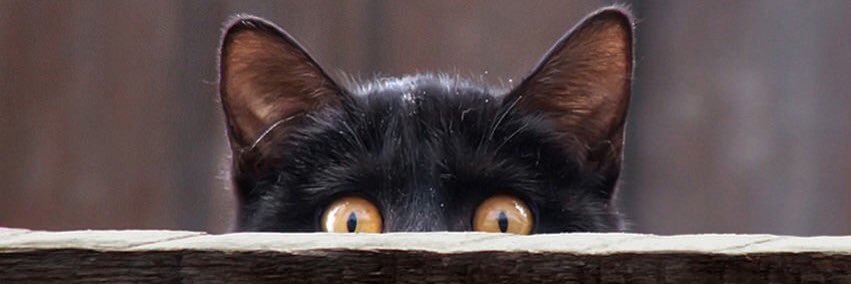 slmnyldrm's profile banner image