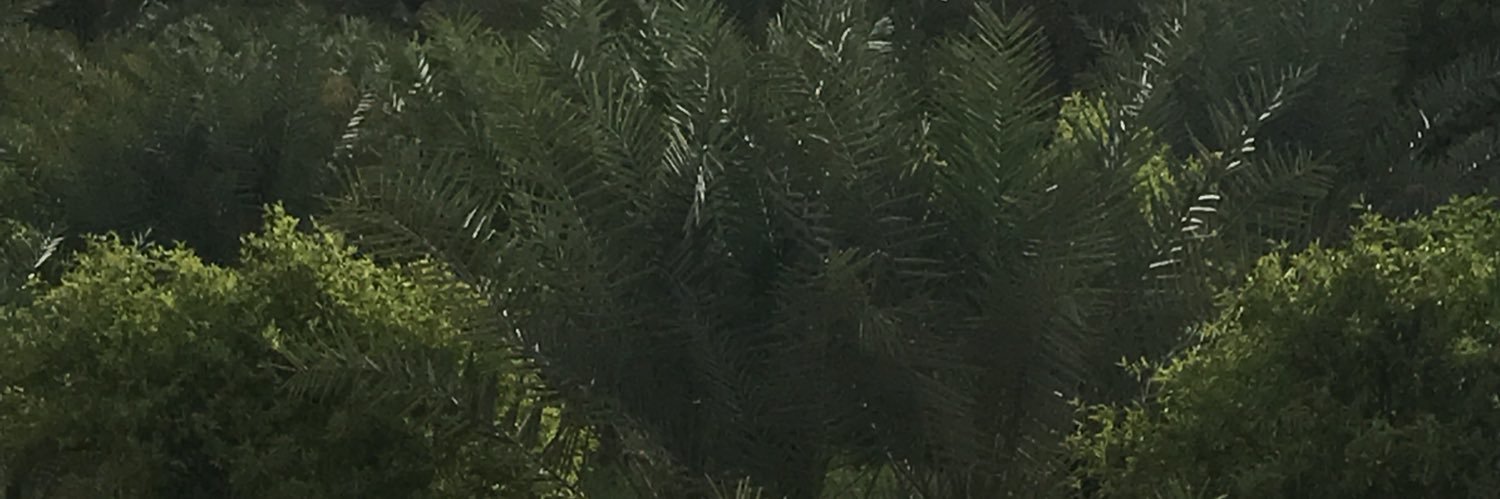 VG3FHOZwpjVEC6z's profile banner image