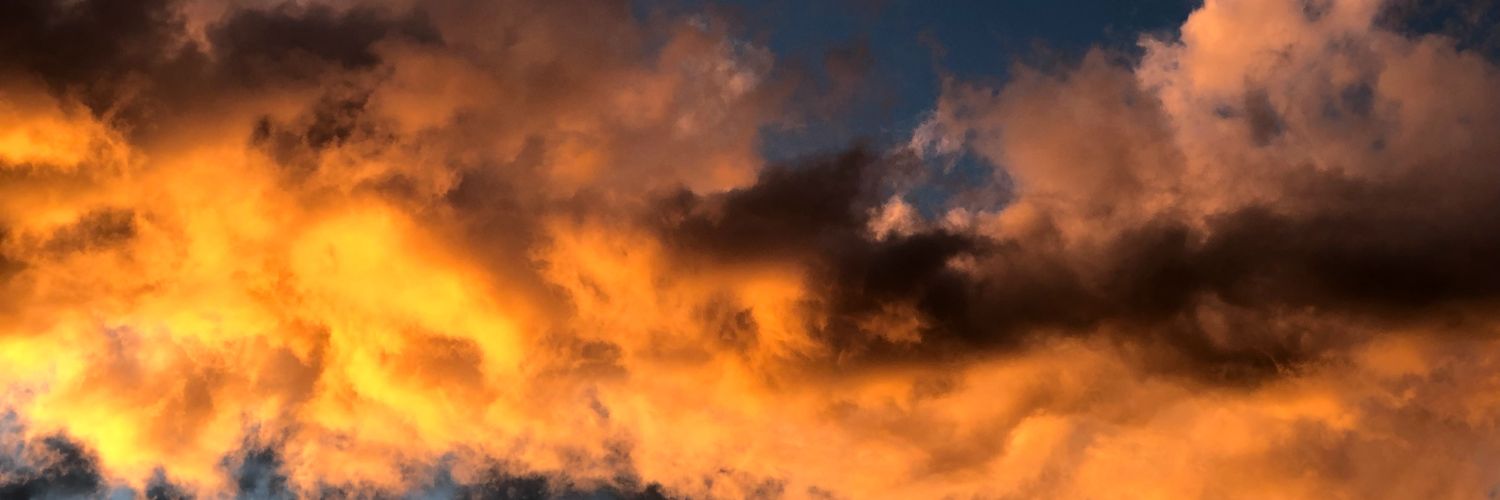 markthly's profile banner image