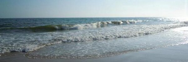 Embarcate Profile Banner