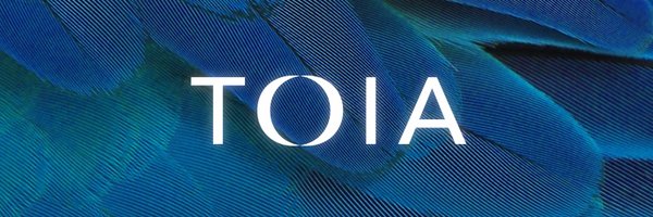 ToiaTech Profile Banner