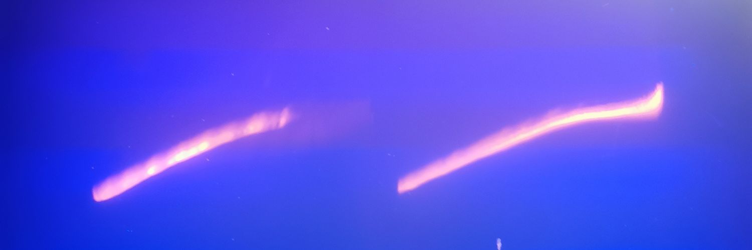TaylorCorocher's profile banner image