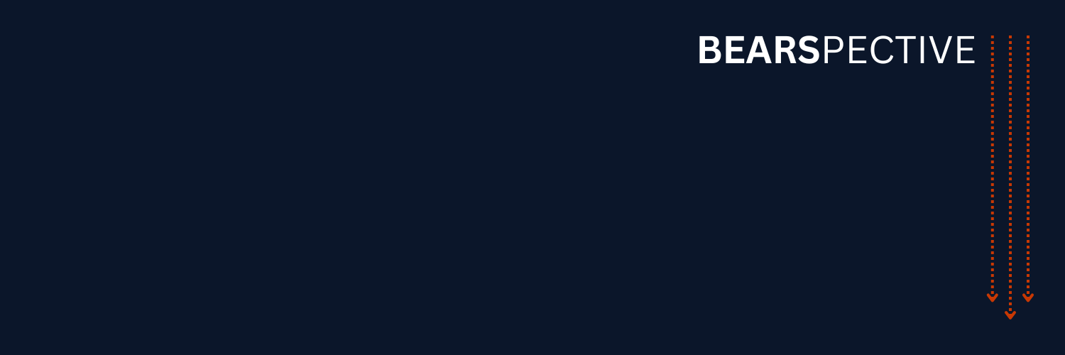 bearspective's profile banner image