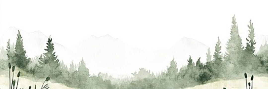 itfmokotedi's profile banner image
