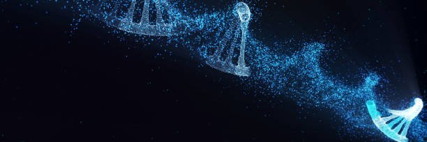 Apamela14's profile banner image