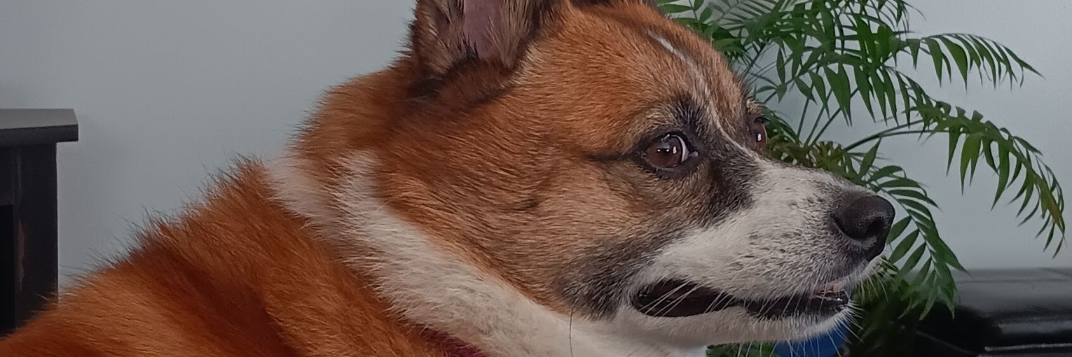 jrocford's profile banner image