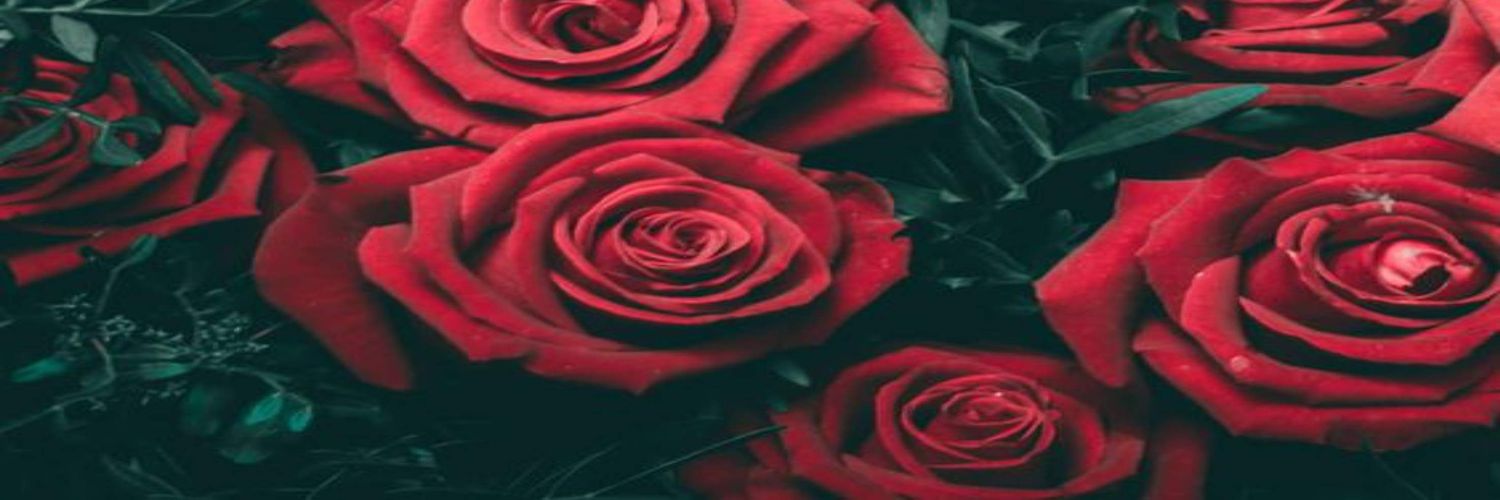 arfiantoroadea's profile banner image