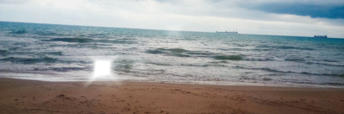 alesho11's profile banner image