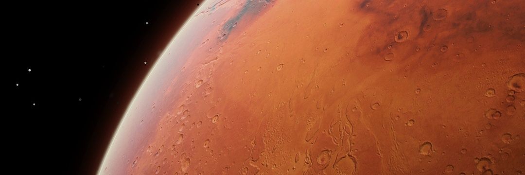 Paralyok's profile banner image