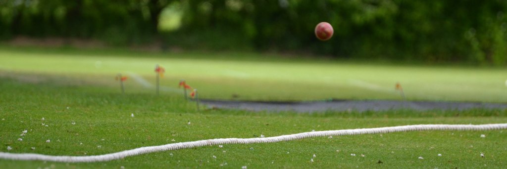 Village Cricket Blog banner