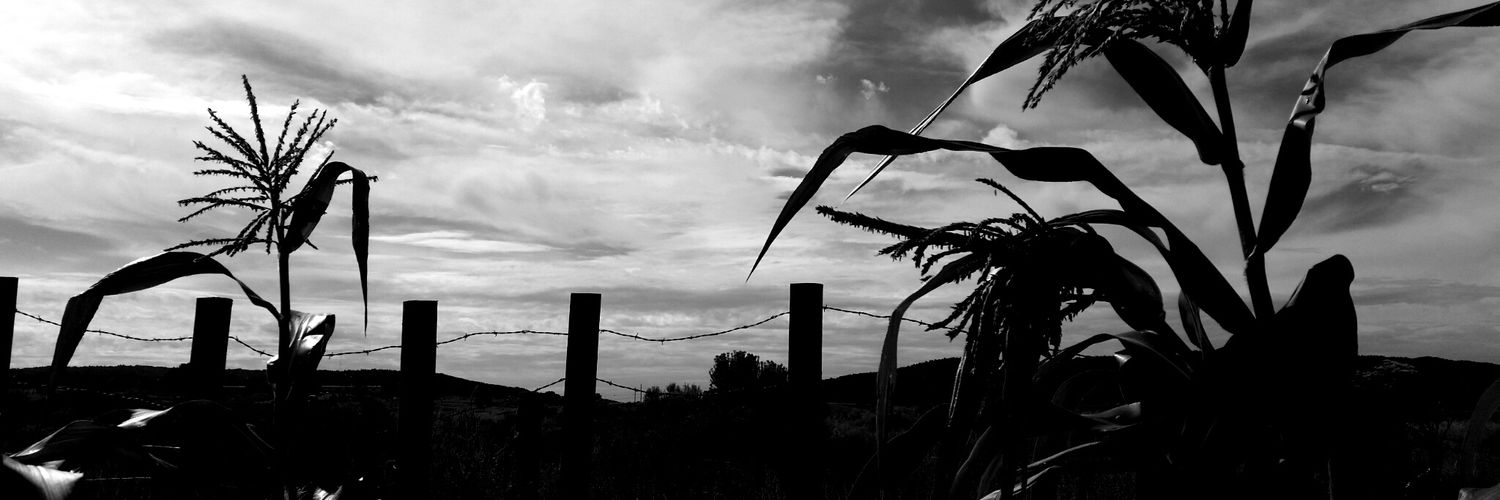 k’é infoshop banner