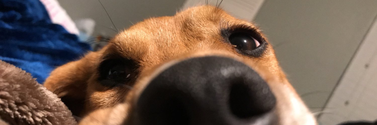 Squanto04's profile banner image