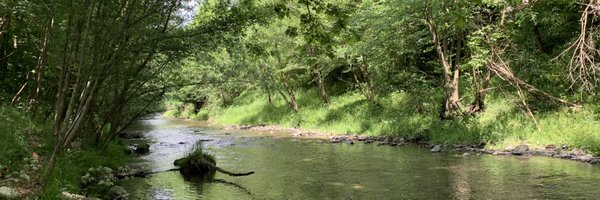 martinezserrap1 Profile Banner