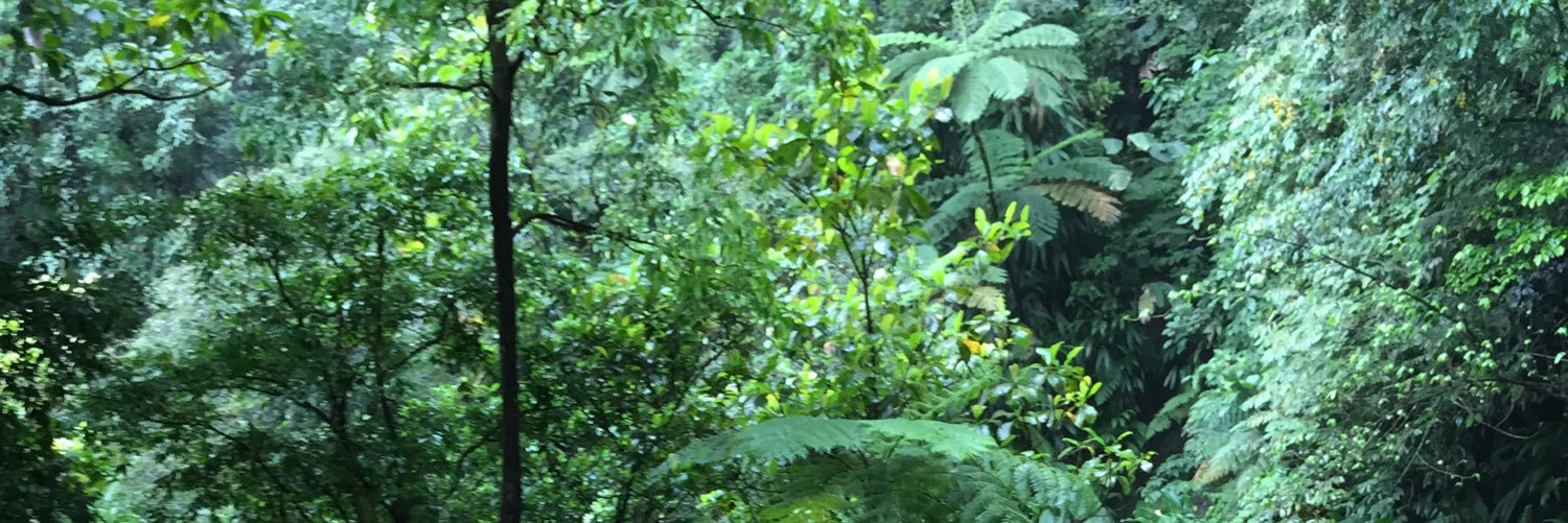 ShillsP's profile banner image