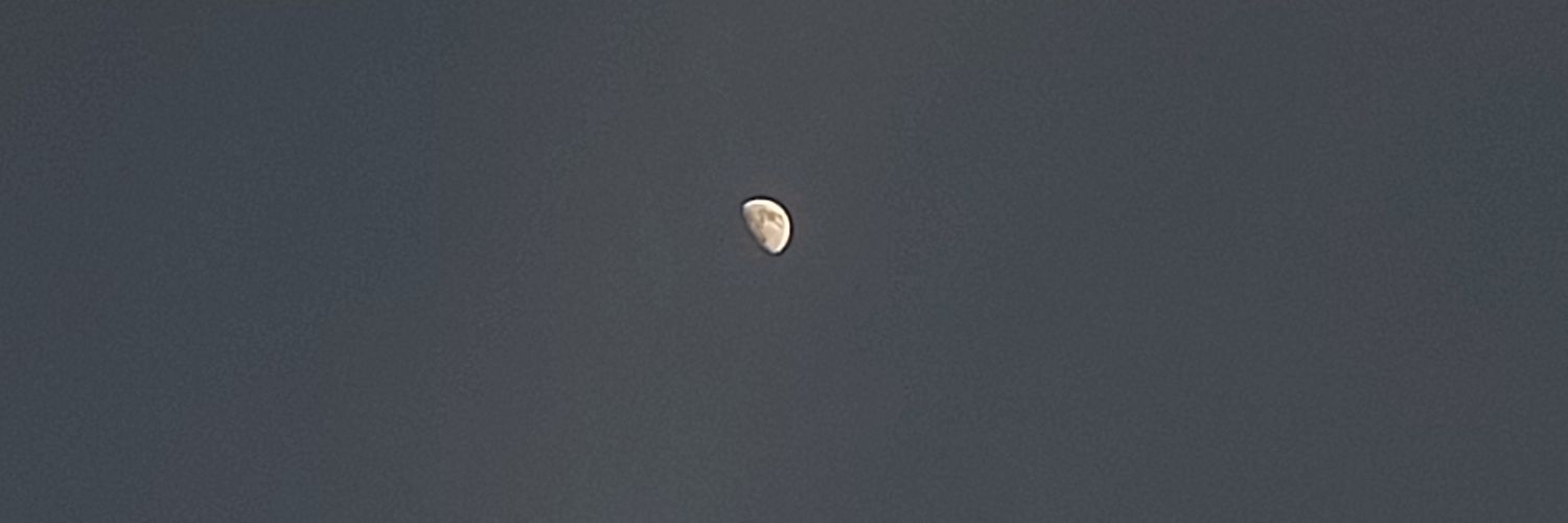 nancy ∨ nicole banner