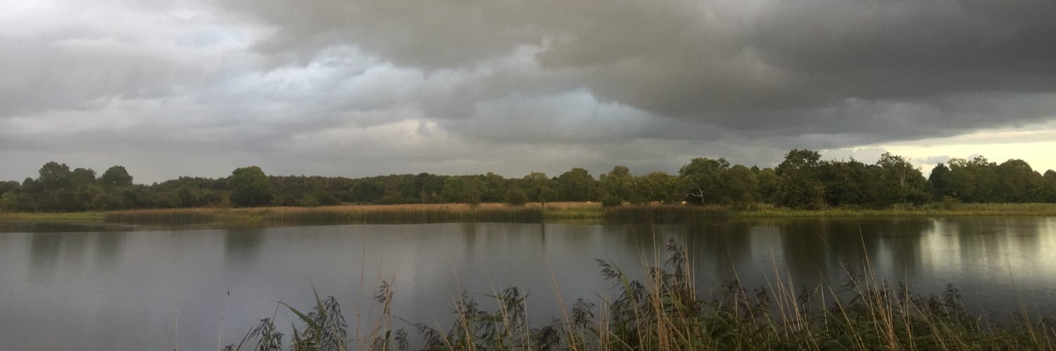 Reset Your Mindset banner