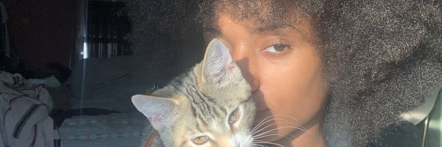 telly_dubs's profile banner image