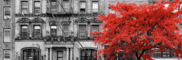 ACRold Profile Banner