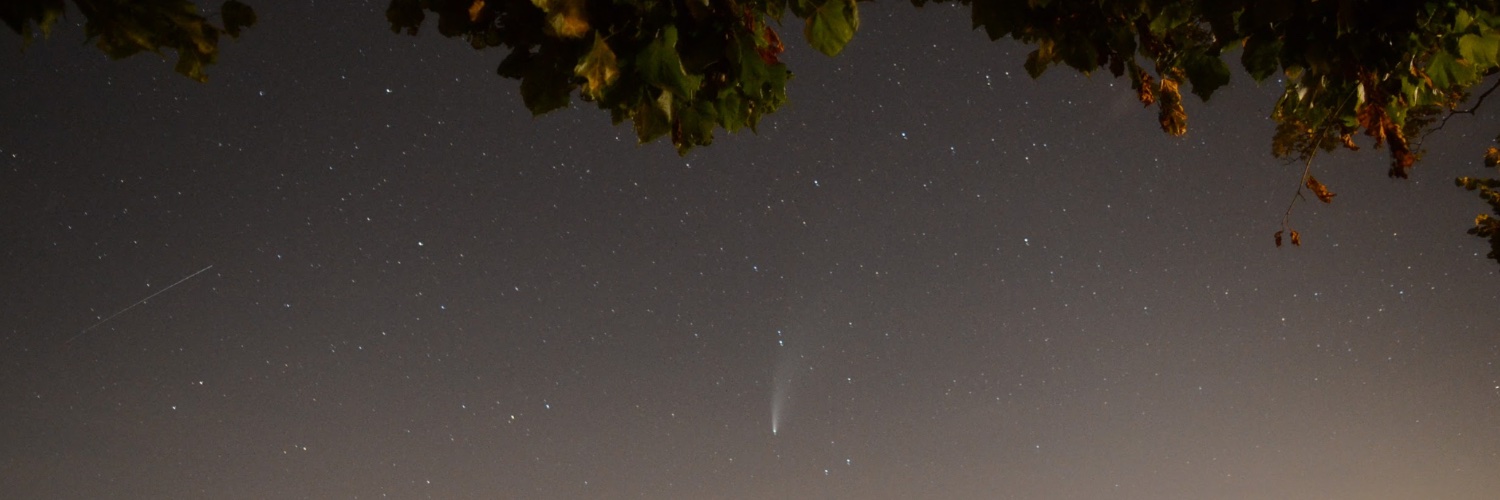 Patricia Hurducaș banner