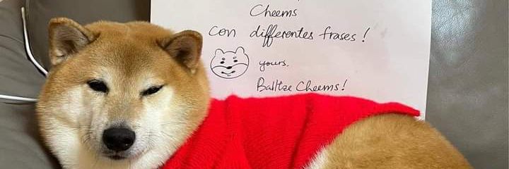 Perrito_Cheems's profile banner image