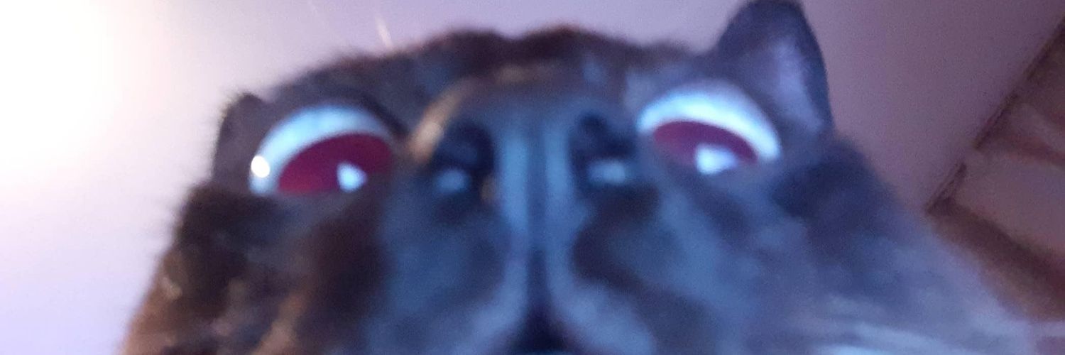 N0r🅱️ertas ☮🇺🇦 banner