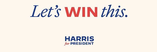 Protect Democracy: Elect Kamala! 🌊🌊 banner