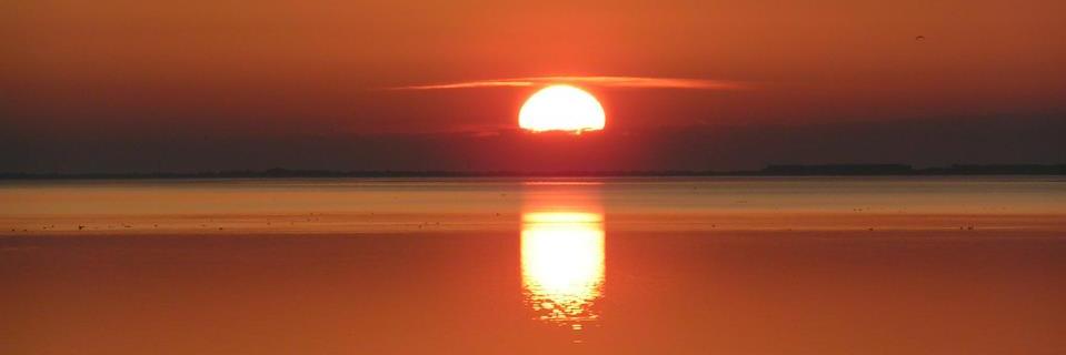 SSygowski's profile banner image