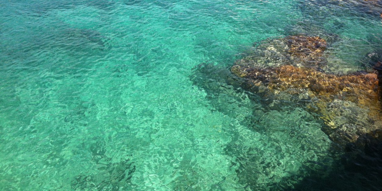 pedersenmargo's profile banner image