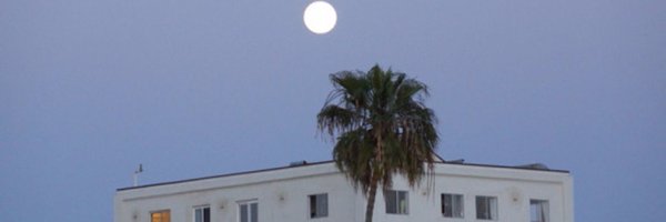 juustineod Profile Banner