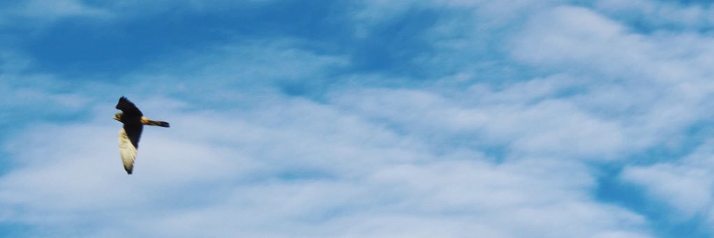 m7sen's profile banner image