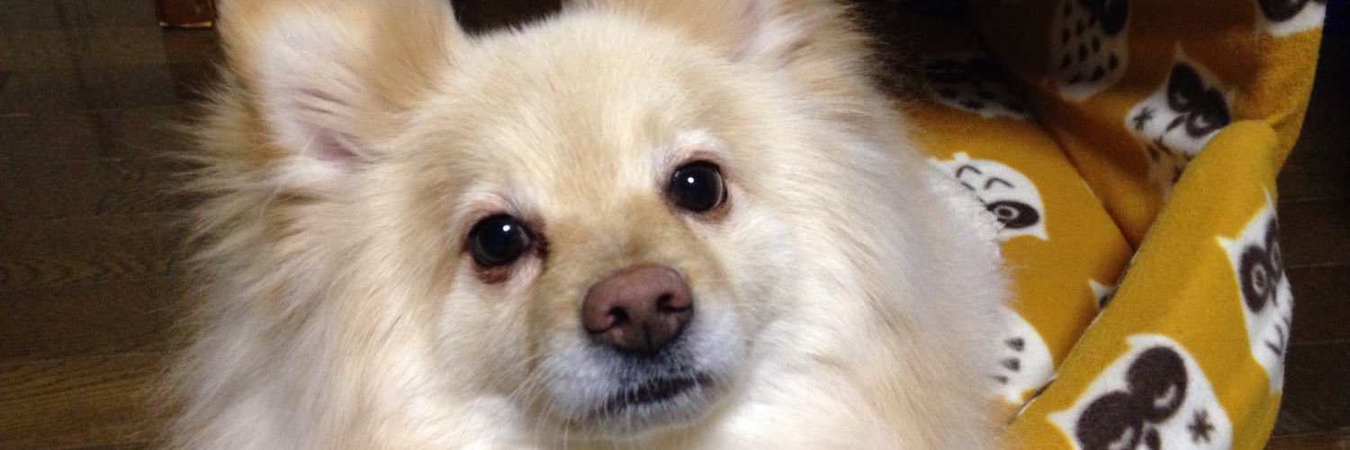 2neoK's profile banner image