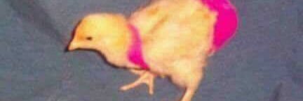 threaddsocksart's profile banner image