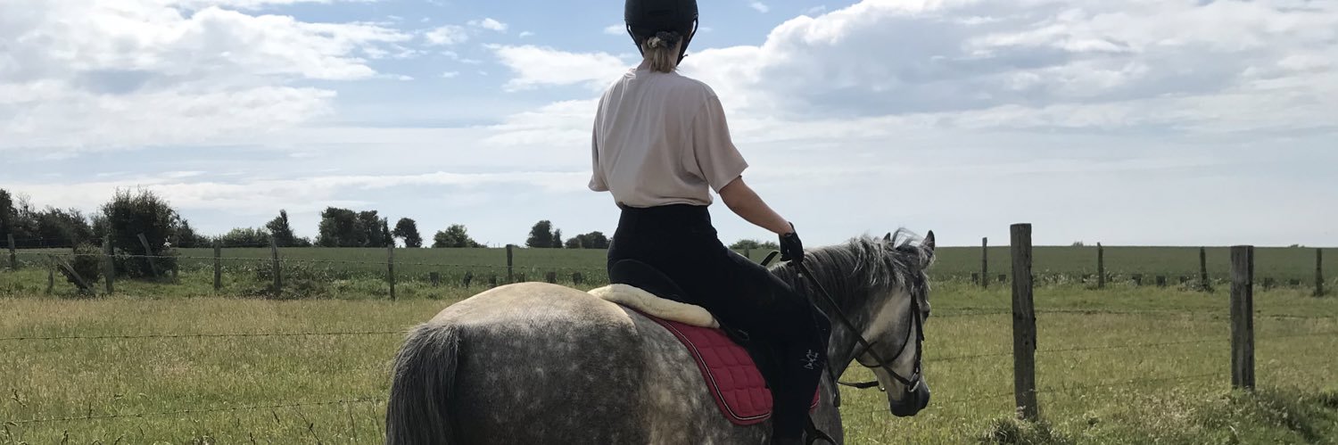 chloelpnt's profile banner image