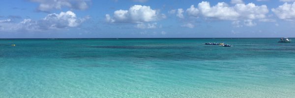 dianemaymichael Profile Banner