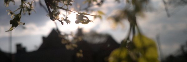 shikhanksharma Profile Banner