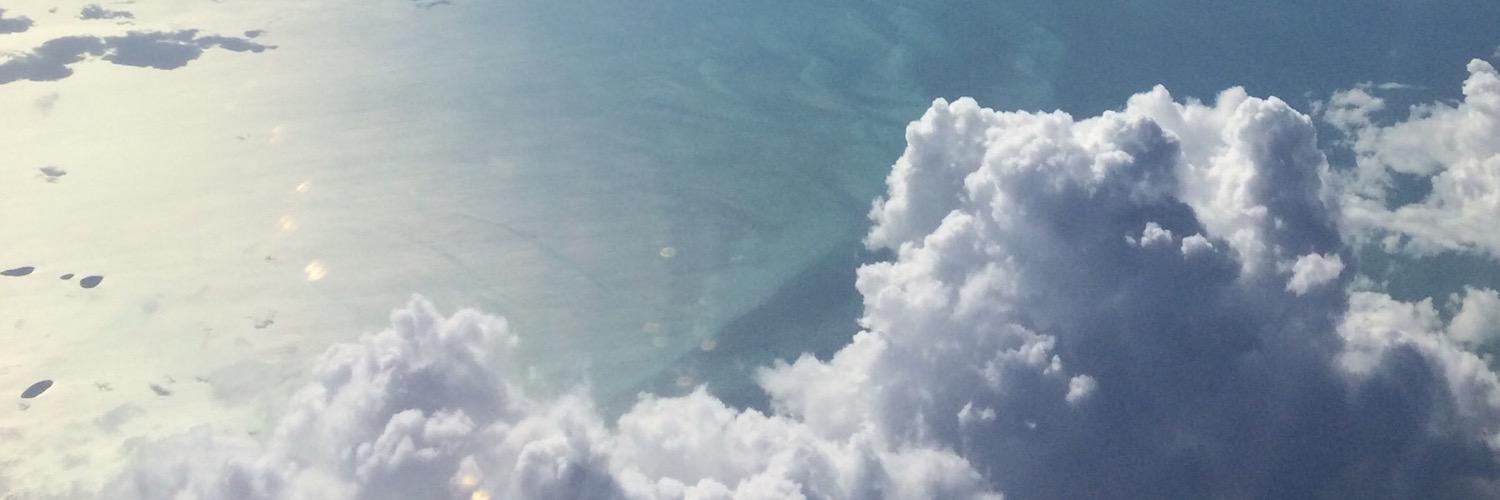 mgotazo's profile banner image