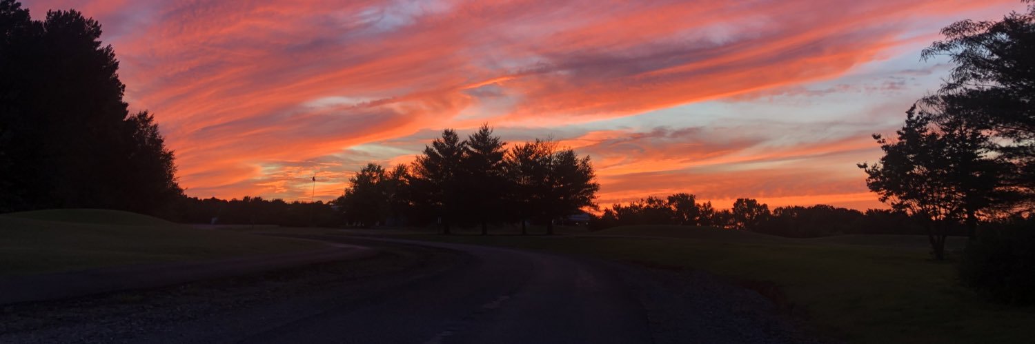 carribyrd's profile banner image